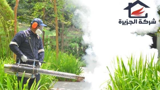 افضل شركة مكافحة حشرات بالاحساء - ابادة الصراصير