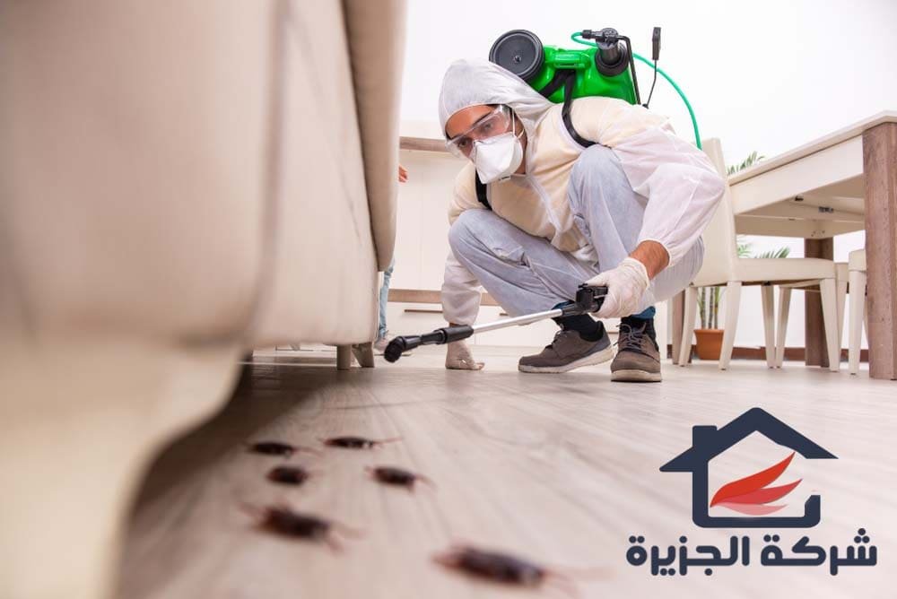 مكافحة النمل الأبيض وحقن التربة قبل وبعد البناء بجازان